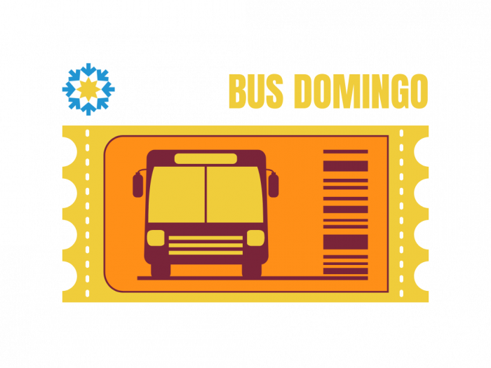 Bus Ticket Domingo
